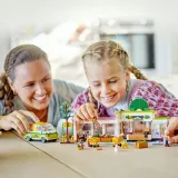 lego-41729-friends-bohater-inny