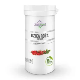 dzika-roza-witamina-c-ekstrakt-16-1-kapsulki-60szt