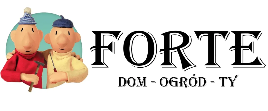 chipsy-mix-krotki-termin-od-forte