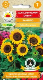 slonecznik-ozdobny-karlowy-bambino-nasiona-slonecznika-ozdobnego-toraf