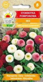stokrotka-pomponowa-mieszanka-mix-nasiona-stokrotki-pomponowej-toraf-0-2g