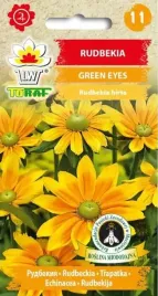 rudbekia-green-eyes-zolta-z-zielonym-srodkiem-nasiona-toraf