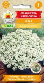 smagliczka-nadmorska-biala-nasiona-smagliczki-bialej-toraf-0-5g