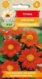 titonia-ogrodowa-pomaranczowa-nasiona-toraf-1g