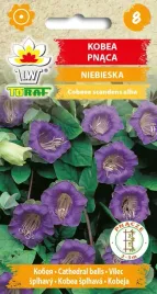 kobea-pnaca-fioletowa-nasiona-6-sztuk-toraf