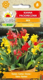 kanna-paciorecznik-mieszanka-mix-kolorow-nasiona-toraf