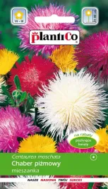 chaber-pizmowy-cesarski-mix-nasiona-chabrow-mieszanka-chabry-plantico-1g