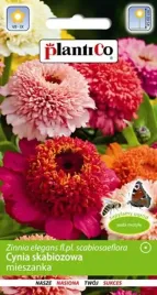 cynia-wytworna-daliowa-skabiozowa-mix-nasiona-cynii-daliowej-plantico-1g