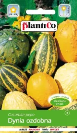 dynia-ozdobna-mieszanka-mix-pnacze-nasiona-dyni-ozdobnej-plantico-2g