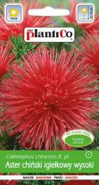 aster-igielkowy-czerwony-ognisty-ptak-nasiona-astra-czerwonego-plantico-1g