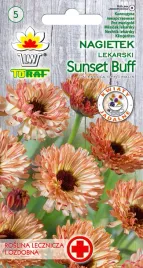 nagietek-lekarski-sunset-buff-nasiona-nagietka-lekarskiego-1g-toraf