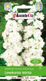 lewkonia-letnia-weiss-biala-nasiona-lewkonii-plantico-0-5g