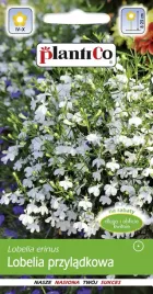 lobelia-przyladkowa-biala-nasiona-plantico-0-2g