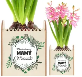 doniczka-na-kwiatek-dzien-kobiet-dzien-matki-imie