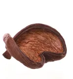 badam-lakierowany