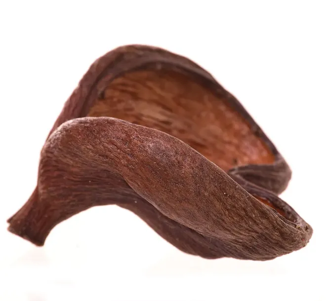 susz-dekoracyjny-badam-lakierowany-naturalny-do-kompozycji-rodzaj-akcesoria