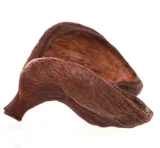 susz-dekoracyjny-badam-lakierowany-naturalny-do-kompozycji-rodzaj-akcesoria