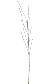 galaz-zielona-pnacze-korzen-130cm