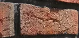 dynasil-st-impregnat-hydrofobowy-do-cegly-5l-funkcje-wodoszczelny-olejoszczelny-plesnioodporny-przeciwprzebarwieniowy