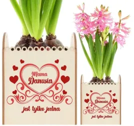 doniczka-na-kwiatek-dzien-kobiet-dzien-matki-imie