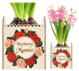 prezent-upominek-doniczka-kwiatek-na-dzien-matki