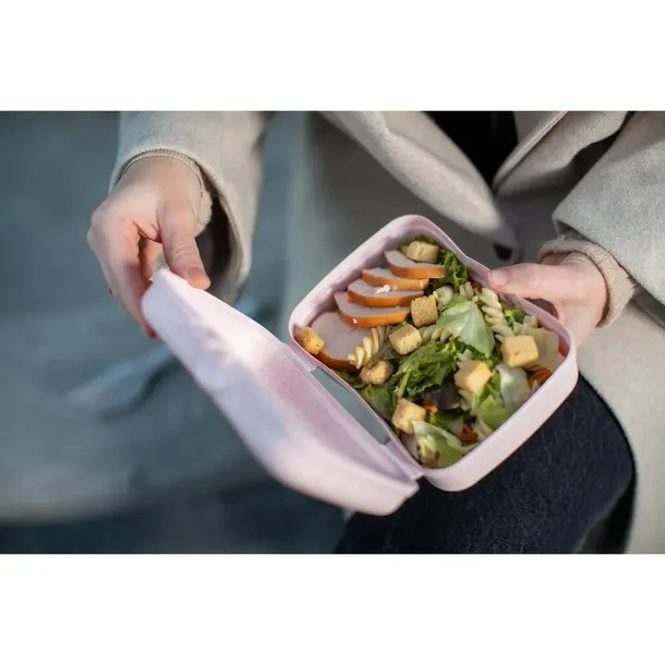 lunchbox-basic-organic-roz-3081669