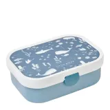 lunchbox-campus-ocean-107440065391