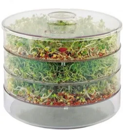 toraf-kielkownica-naczynie-3-szalki-na-kielki-nasiona