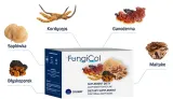 soplowka-maitake-kordyceps-ganoderma-reishi-colway-cechy-dodatkowe-bez-cukru-bez-jodu-bez-kazeiny-bez-laktozy-bezalkoholowy-bezglutenowy-bezpieczny-dla-kobiet-karmiacych-bezpieczny-dla-kobiet-w-ciazy-bezzapachowy-chronic-przed-swiatlem-czysty-bez-dodatkow-wegetarianski