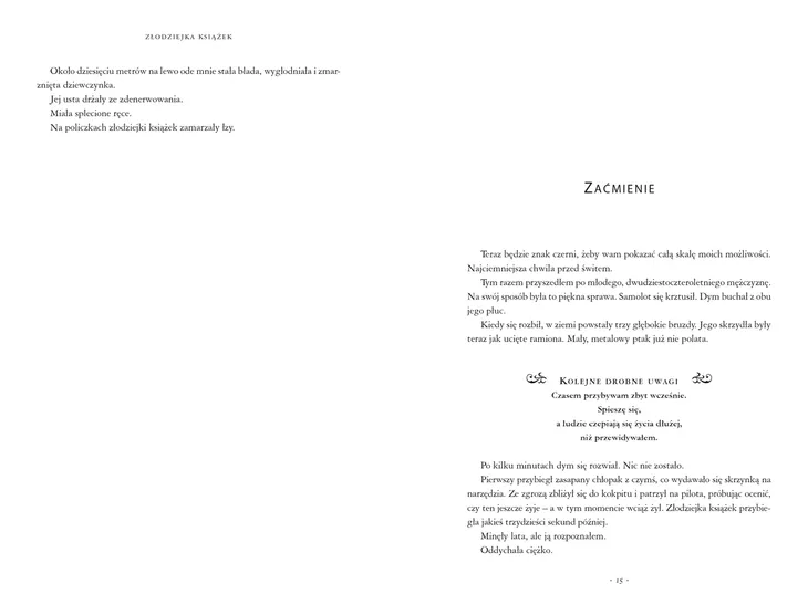 zlodziejka-ksiazek-wydawnictwo-nasza-ksiegarnia-stan-nowy