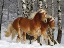 mozaika-diamentowa-malowanie-diamond-painting-5d