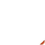 laska-gentelman-90-cm-widmann