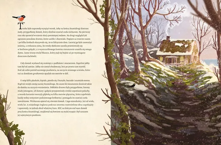 zawieruszek-basn-skandynawska-wydawnictwo-nasza-ksiegarnia