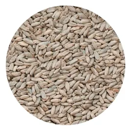 slod-zytni-1kg-viking-malt