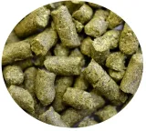 chmiel-nelson-sauvin-30g-nz