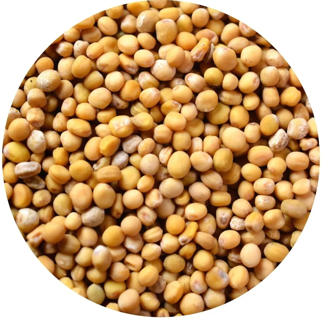 gorczyca-biala-ziarno-1000g
