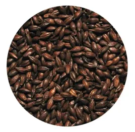 slod-jeczmien-prazony-5kg-viking-malt