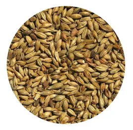 slod-cookie-viking-malt-1kg