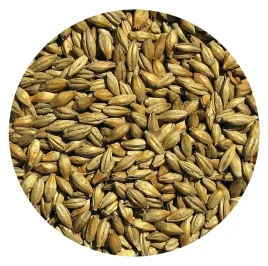slod-jeczmienny-dekstrynowy-1kg-viking-malt