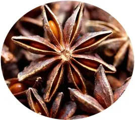 anyz-gwiazdzisty-1000g-przyprawa-na-nalewke