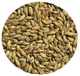 slod-jeczmienny-golden-ale-1kg-viking-malt