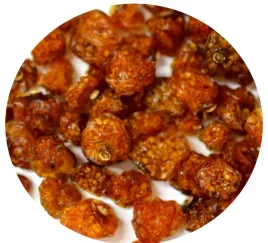 miechunka-suszona-100g-wisnia-peruwianska