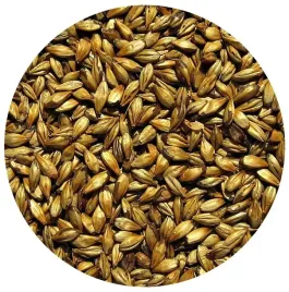 slod-caramel-pale-viking-malt-500g-domowe-piwo