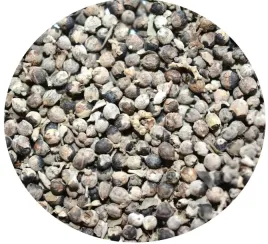 niepokalanek-pospolity-owoc-caly-100g-herbata-susz
