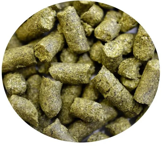 chmiel LUBELSKI aromatyczny 100g domowe piwo