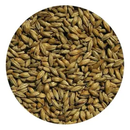slod-monachijski-ciemny-typ-ii-viking-malt-25kg