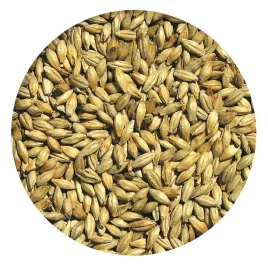slod-jeczmienny-pale-ale-zero-vikingmalt-25kg-lodz