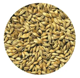 slod-red-ale-viking-malt-5kg