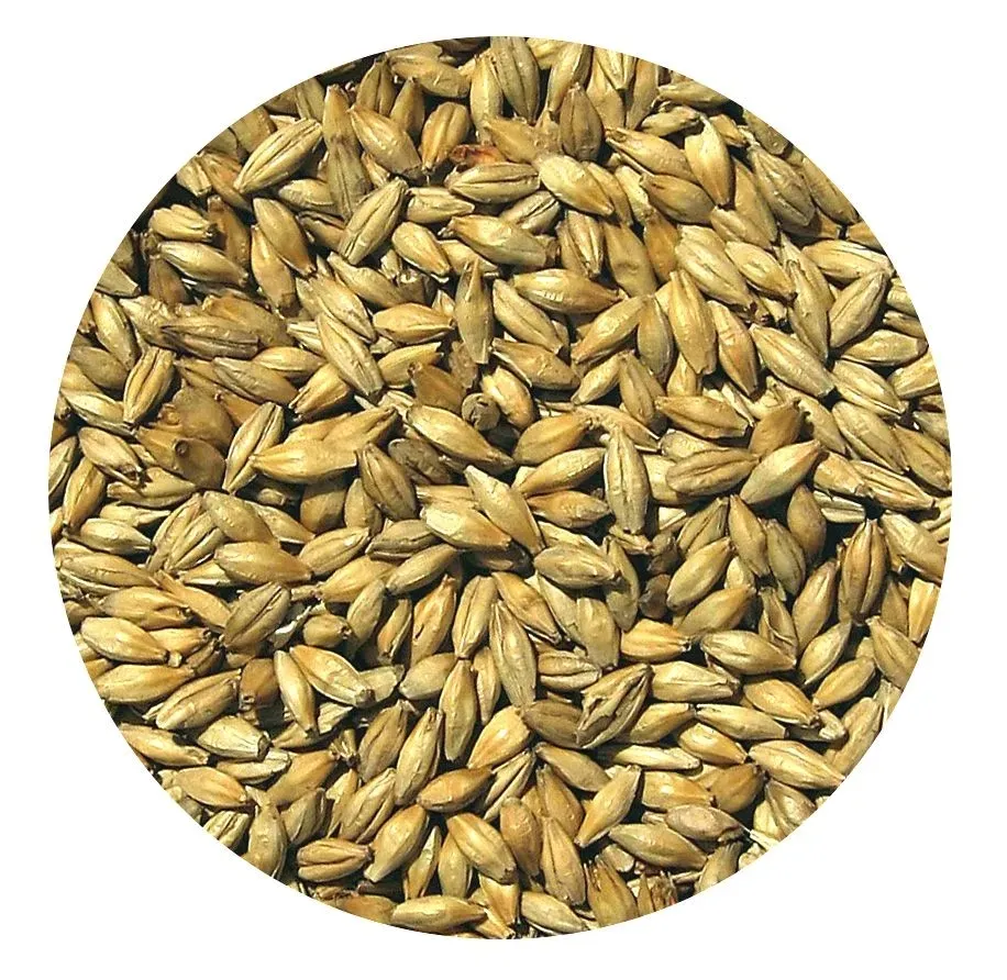 slod-red-ale-viking-malt-05kg