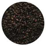 slod-barwiacy-05kg-strzegom